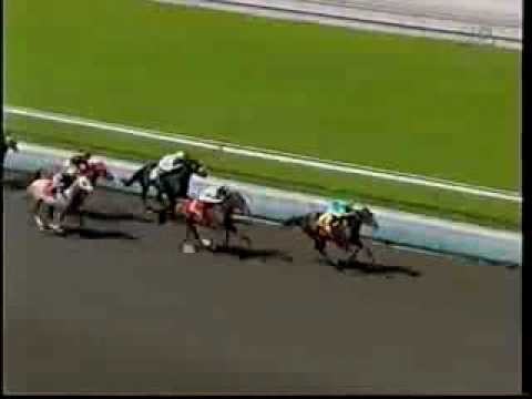 2009 Santa Anita Derby - USA - Vencedor: Pioneerof The Nile