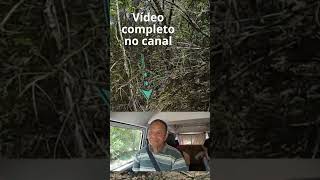 João da Praia e “Aonde a vaca vai, o boi vai atrás”