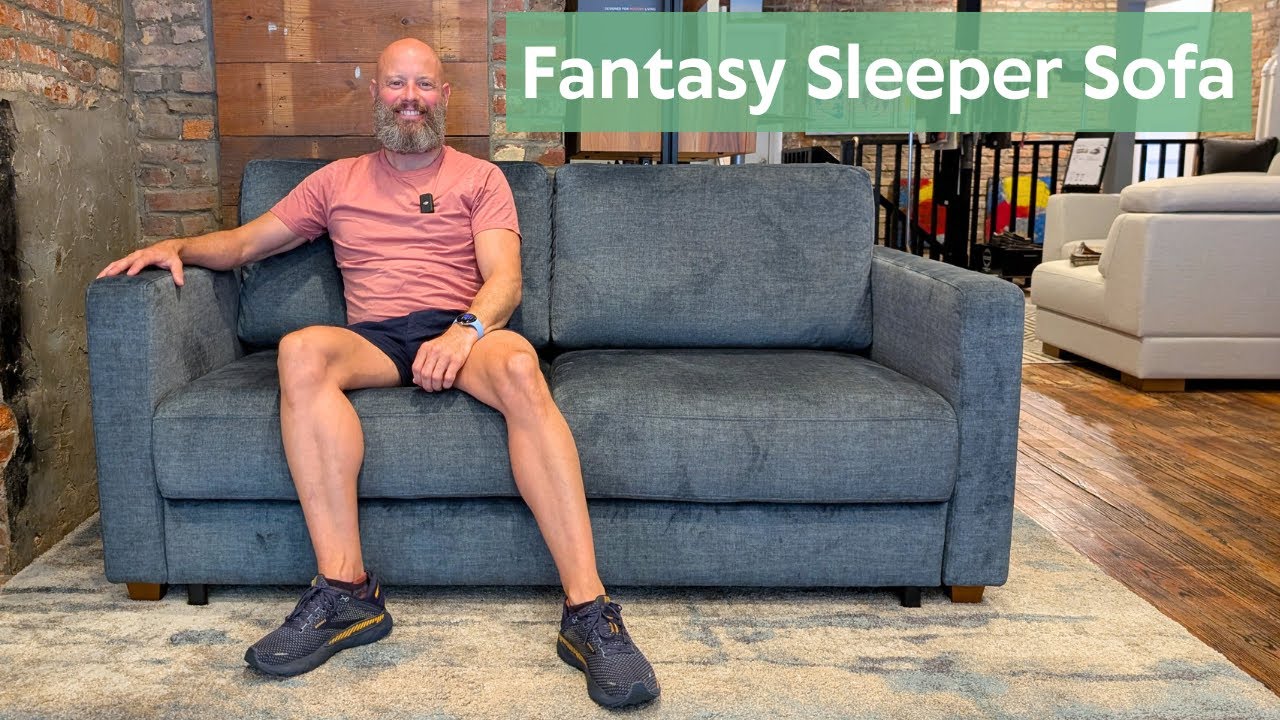 Fantasy Sleeper Sofa by Luonto