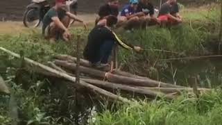 Download lagu Story' wa_status wa Ega Al fariz/agos kotak|||terbaru||mancing emosi mp3