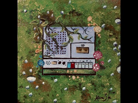 salva - Vibes Transfer 💿🍃