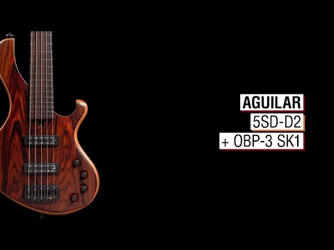 Aguilar 5SD-D2 + OBP-3 SK1 - Maruszczyk Frog Omega 5a long 34" scale