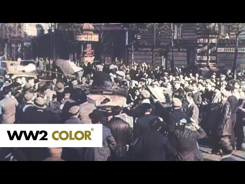 1940: French troops and the Maginot Line