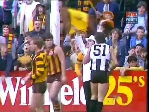 1986 Round 20 VFL Highlights  Footage courtesy of the Mark Cleary collection