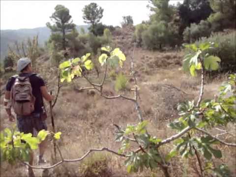 Orchestre National de Barbès - Chouf (feat. Samia Diar) 