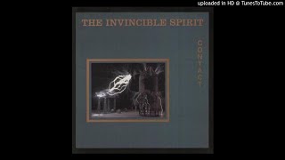 The  Invincible Spirit -  I See Danger