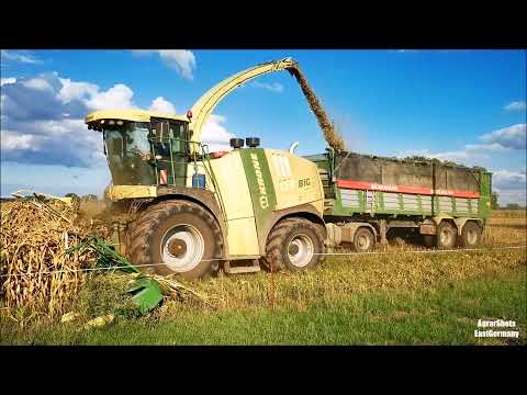 Mais häckseln im DOPPELPACK // 2x Krone Big X und Action auf dem Silo