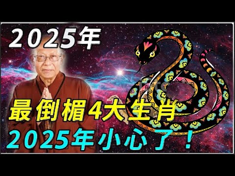 2025年是什麼年