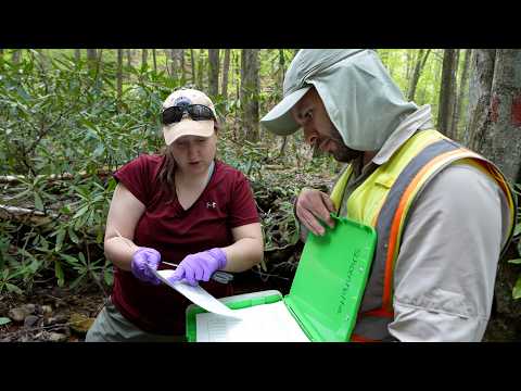 Monitoring water quality near Southwest Virginia coalfield restoration sites