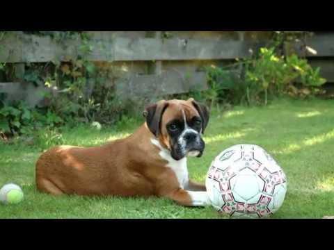 Had ik nog maar 1 minuut met jou!!!