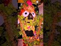 Keri Keri Suna Duba Jagannath Status Bhajan Status Harmonium Flute Keshaba Status