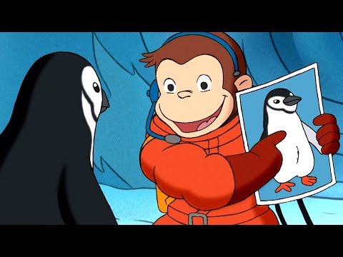 Curious George 🐵Ice Station Monkey 🐵Full Episode🐵 Cartoons For Kids 🐵 Kids Movies