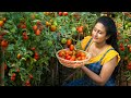 My Tomato Harvest Became A Delicious Traditional Dish For The New Year Poorna The Nature Girl