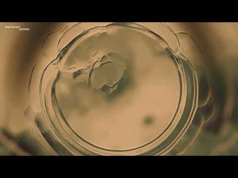 What So Not & Habstrakt feat. Maiah Manser - Realise (Official Audio)