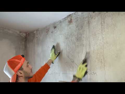 East Austin Whole-Home Reno