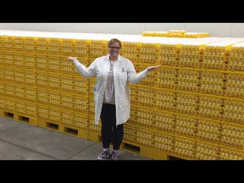 Why Are Egg Prices Dropping? Avian Flu, Farmer Struggles, and Easter Demand Explained