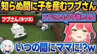 野生のキツネに『フブさん』と名付けて、子供を産ませたことをフブさんに報告するみこち【新ホロ鯖マイクラ/さくらみこ/白上フブキ/音乃瀬奏/星街すいせい/天音かなた/ホロライブ/切り抜き】