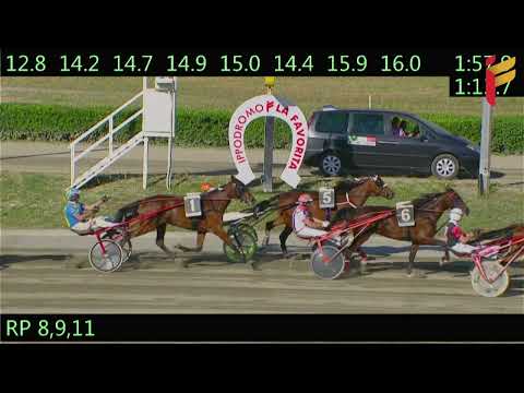 V Corsa del 18 Maggio 2022 - 4 Anni - Metri 1600