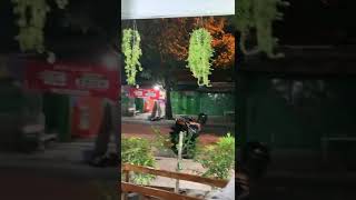 Download lagu story halu lagi makan bareng pacar mp3 Download lagu story halu lagi makan bareng pacar mp3