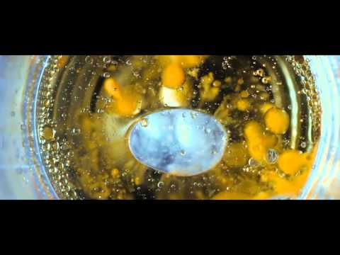 Nova Secta - Time ft. Vacca [Scratch by Deliuan]