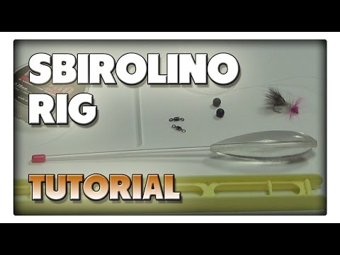 Sbirolino Montage fürs Spinnfischen auf Meerforelle - Tutorial und Tipps