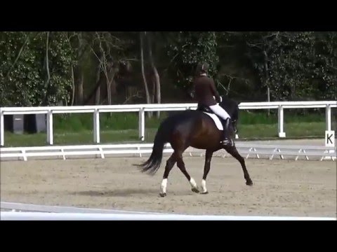 Donna Léa - 5 ans - Le Lions d'Angers 2016