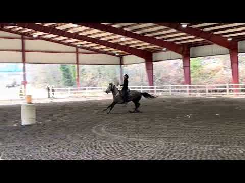 Boand Arena video thumbnail