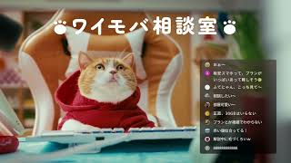 Y!mobile「ワイモバ相談室 シンプルな3プラン」篇 15秒