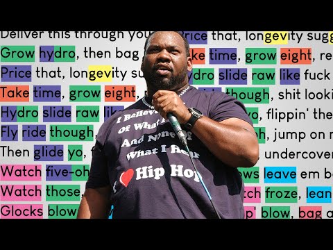 Raekwon on Skew It on the Bar-B | Rhymes Highlighted