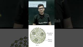 NCERT is MUST for NEET🔥😱 Vipin Sir teaching Plant Kingdom Diagrams 🔥 @VipinSharmaSir#vipusirop #neet