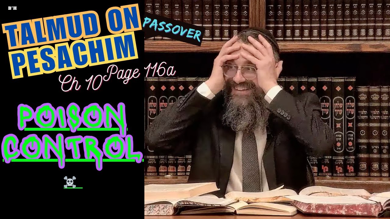 "Poison Control" ~ TOM’S TALMUD TISCH: Passover Edition - Masechet Pesachim, Chapter Ten, Pg. 116a thumbnail
