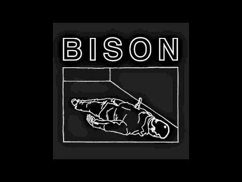 Bison 