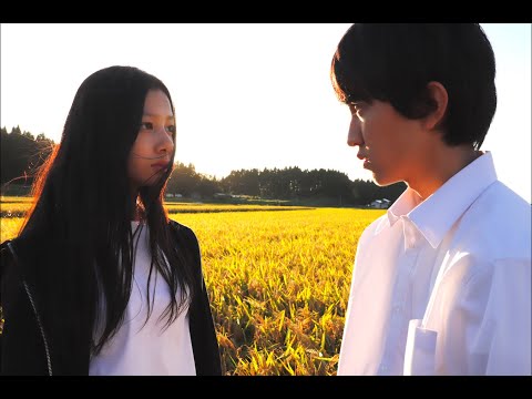 映画『光を追いかけて』予告編