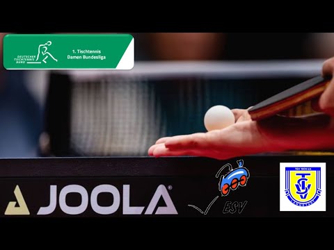 ESV Weil - TTG Bingen/Münster-Sarmsheim  (1. Bundesliga Damen 25/26)