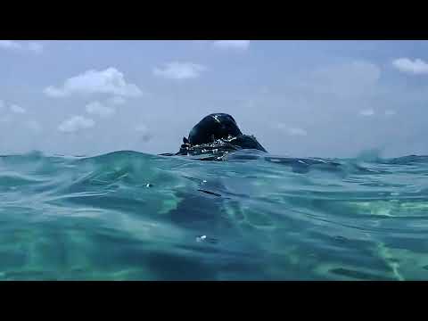 Surviving Mann All Stars Belize with Mini Striker Pistol Crossbow