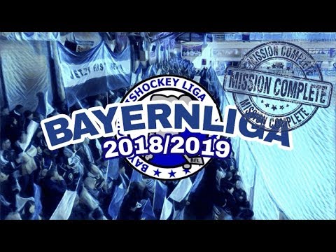 INTERVIEW MIT KLASSENERHALTSHELDEN - MIGHTY DOGS SCHWEINFURT