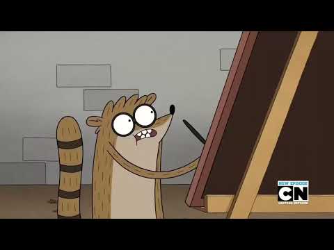 Mapache que porquería!