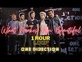 One Direction I What Makes You Beautiful 1 HOUR