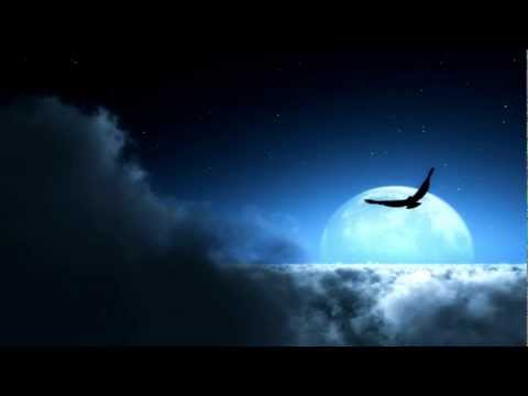 539 Limited - And She Said ¤1080p HQ¤