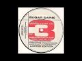 Sugar Caine - Disco Flasher