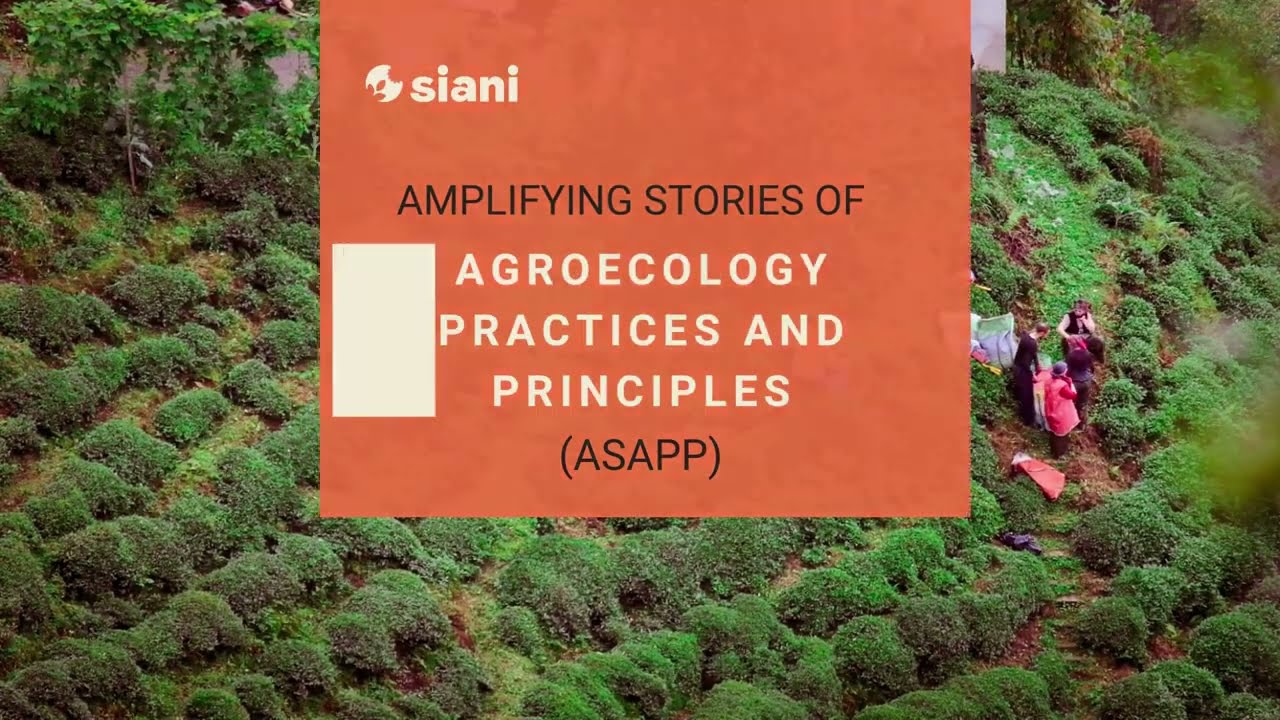 Amplifying Stories of Agroecology Practices and Principles at the Alnarp Agroecology Farm ⎮ SIANI