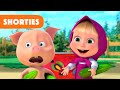 Masha And The Bear Shorties NEW STORY Come On Let S Share Episode 20