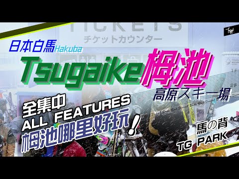 【白馬栂池💢全集中】🎢🈴「TSUGAKE All Features 」🦝｜栂池哪裡好玩｜深粉雪JAPOW🍀｜馬の背🐴｜TG Park🏞️｜ TopK！｜ 4K ｜#栂池高原 #DBD #非整地