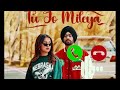 Tu Jo Mileya - Ringtone | New Punjabi song Ringtone | Trending Punjabi songs Ringtone