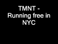 TMNT - Running free in NYC 
