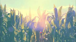 matt pond PA - Egos Rule