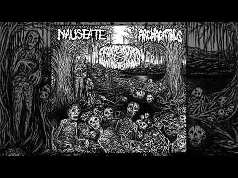 Archagathus / Camphora Monobromata / Nauseate - 3way split CD FULL ALBUM (2018 - Mincecore / Grind)