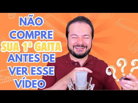 Qual a melhor gaita para um INICIANTE aprender?