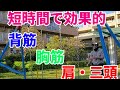 【レギュラー筋トレ】これで筋肉の土台を作ってます