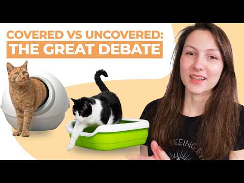 What Type of Litter Box Do Cats Prefer? The Ultimate Guide!